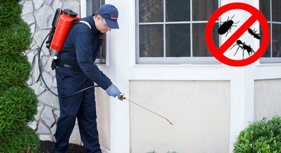Yerköy Böcek İlaçlama böcek ilaçlama ve haşere kontrolü — ilaclama-tr.com